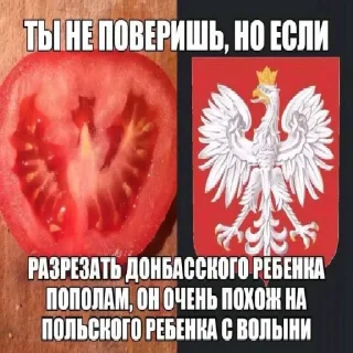 Стикер Укрвахуї - 7