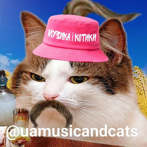 музичні котики by uamusicandcats - 