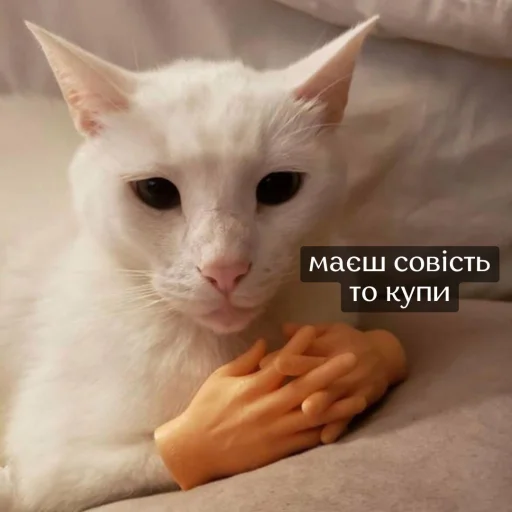 Стикер музичні котики by uamusicandcats - 2