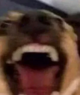 Стикер Все стикеры 🔜 @TgStickerRobot - 5