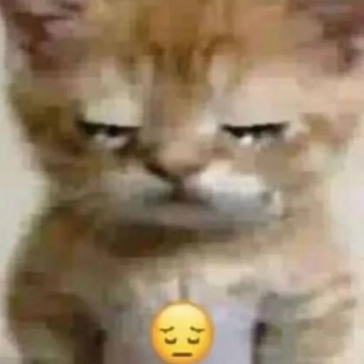 Sticker uastickers1 - 1