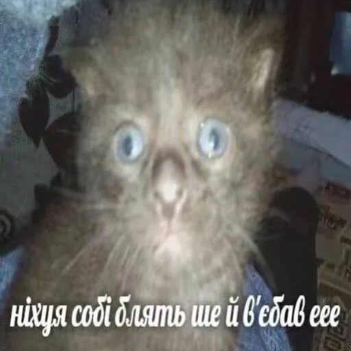 Sticker uastickers1 - 1