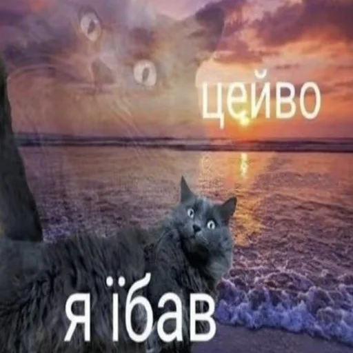 Sticker uastickers1 - 1