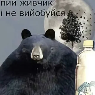 Sticker 🇺🇦 > @uachatshere < 🇺🇦 - 2