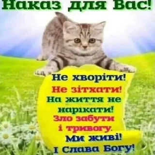 Sticker 🇺🇦 > @uachatshere < 🇺🇦 - 8