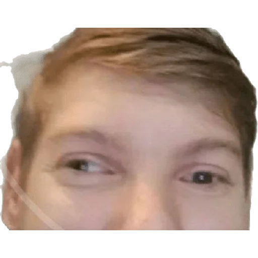 Sticker uastormshasers - 1