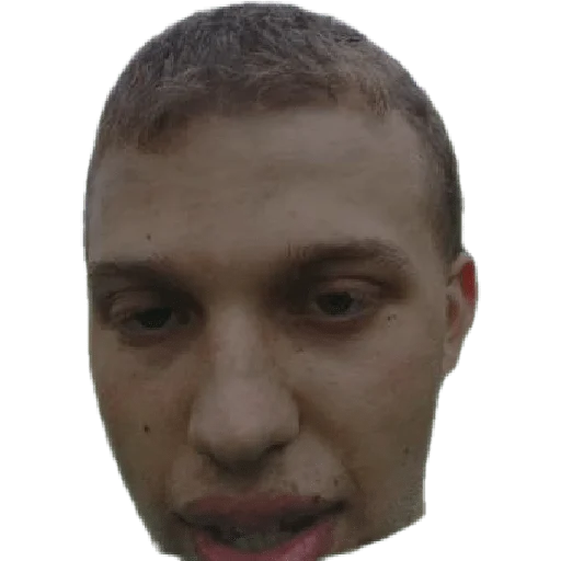 Sticker uastormshasers - 1