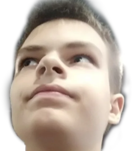 человеческое лицо губа бровь