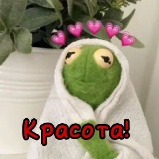 Sticker 🦄 Стики тут 👉 @WeStickerbot - 2