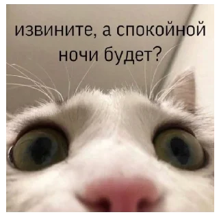 Стикер убью🛷 - 4