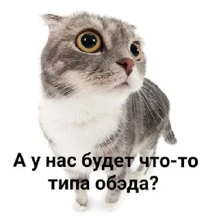 Стикер убью🛷 - 8