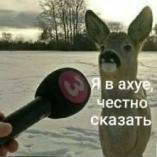 Стикер убью🛷 - 6