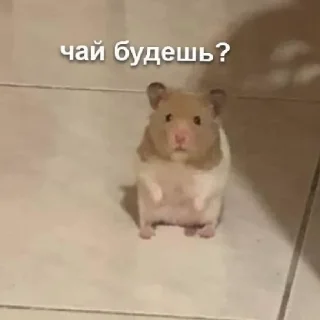 Стикер убью🛷 - 2