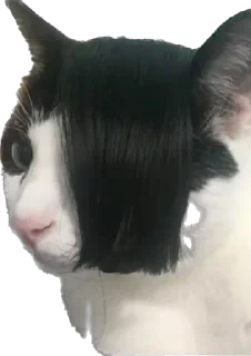 Стикер @tg_emojis Скачать учебник алгебра 7 класс - 9