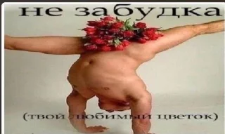 Стикер @tg_emojis Скачать учебник алгебра 7 класс - 7