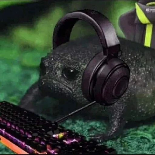 Стикер форг скатился - 3