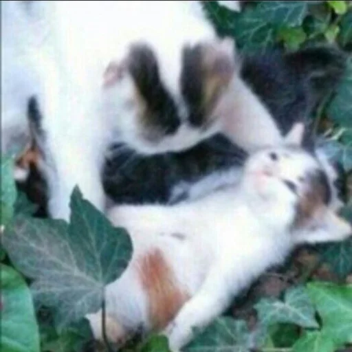 Sticker udckidxvnbx - 1