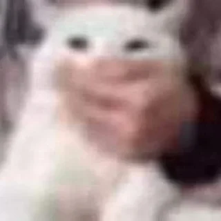 Sticker Мур мяу - 7