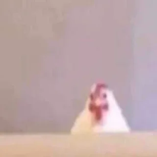 Sticker Мур мяу - 11