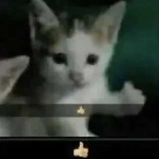 Sticker Мур мяу - 1