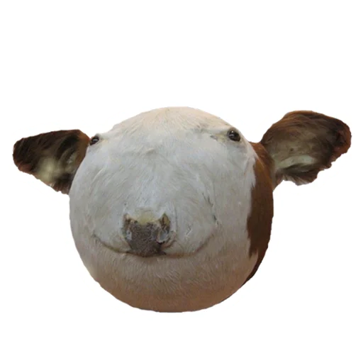 животное искусство