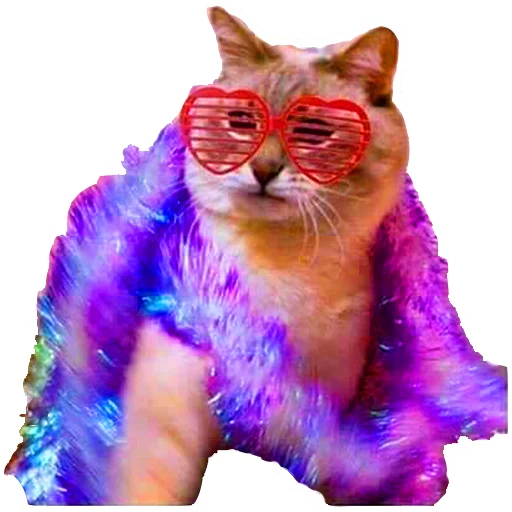 кошачьи животное кошки малого и среднего размера