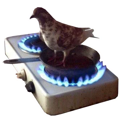 приспособление кухонный прибор печь