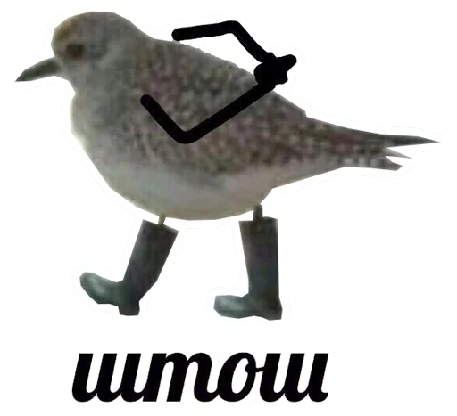 СМС животное рисование