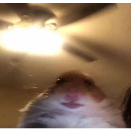 Стикер ауе босота :: @fStikBot - 9