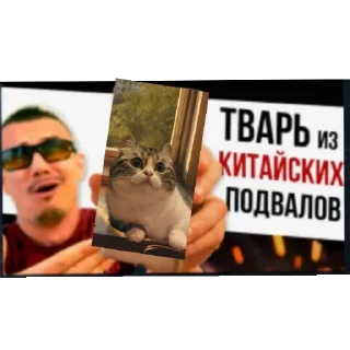 Стикер Приколы стикеры • @sticbot - 3