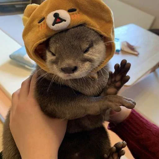 indoor stuffed mammal