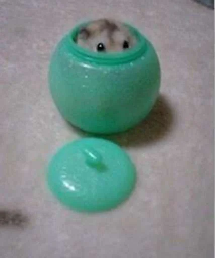 tableware indoor shaker