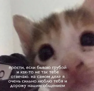 Sticker @sempai21 Милые стикеры - 11