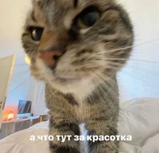 Sticker @sempai21 Милые стикеры - 7