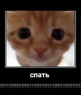 Sticker @sempai21 Милые стикеры - 8