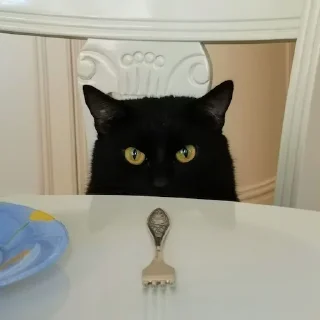 Стикер ъуъ - 10