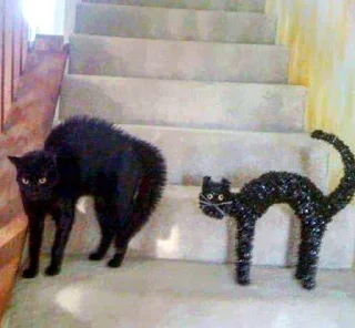 Стикер ъуъ - 2