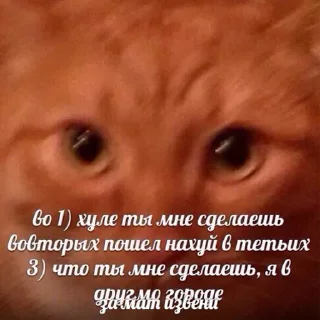 Sticker Больше стикеров: @sticerru - 8