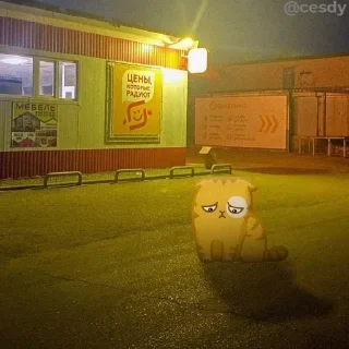 Sticker @stickeri_tg 💋<-- стикеры тут - 1