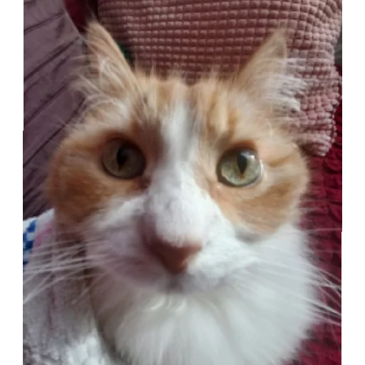 грязный сегодня - 