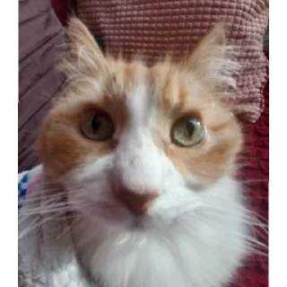 Sticker грязный сегодня - 4