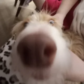 Sticker грязный сегодня - 11