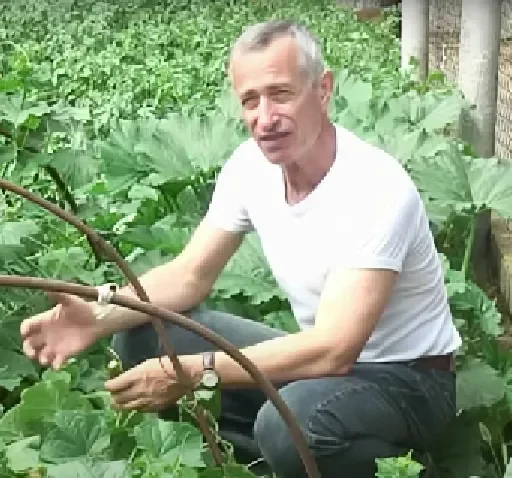 Sticker ujacgiglkv_by_e4zybot - 1