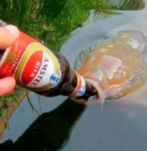 Sticker ujacgiglkv_by_e4zybot - 1