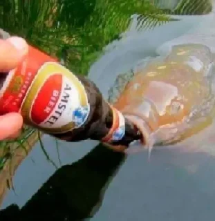 Sticker @tor_link_bot - 7