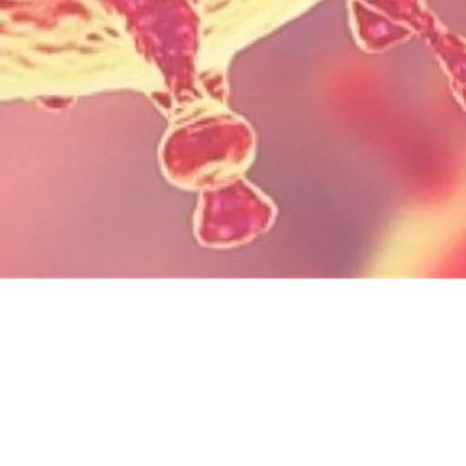 Стикер ПОДАРОК ОТ @BSbugs - 5