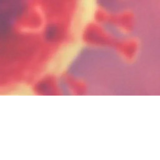 Стикер ПОДАРОК ОТ @BSbugs - 4