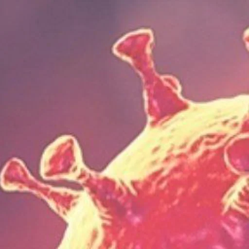 Стикер ПОДАРОК ОТ @BSbugs - 3