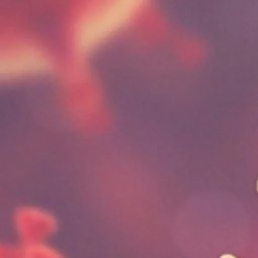 Стикер ПОДАРОК ОТ @BSbugs - 0