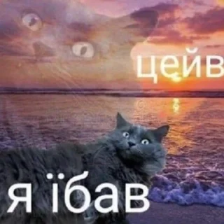 Sticker український слей🌟 - 9